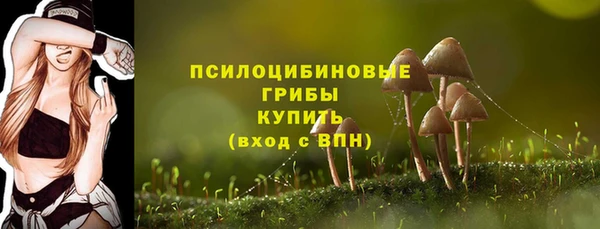 а пвп мука Аркадак
