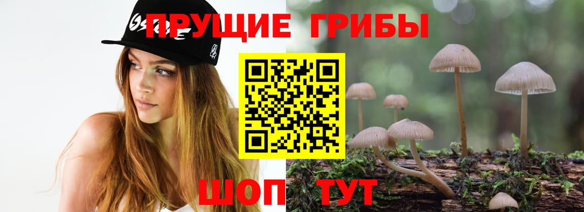 Псилоцибиновые грибы прущие грибы Лениногорск