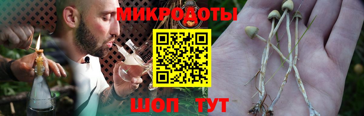 Псилоцибиновые грибы мицелий  Вход с VPN  Лениногорск 
