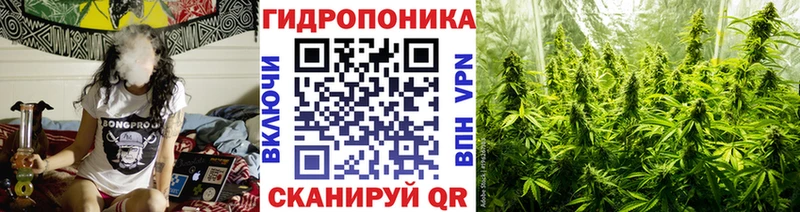 купить закладку  маркетплейс клад  Конопля LSD WEED  Лениногорск 